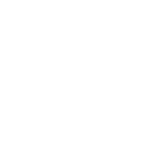 زاد الدقه