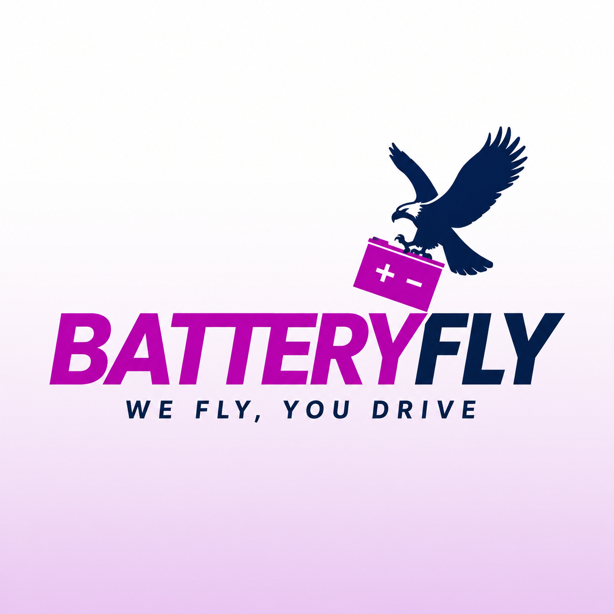 Battery Fly